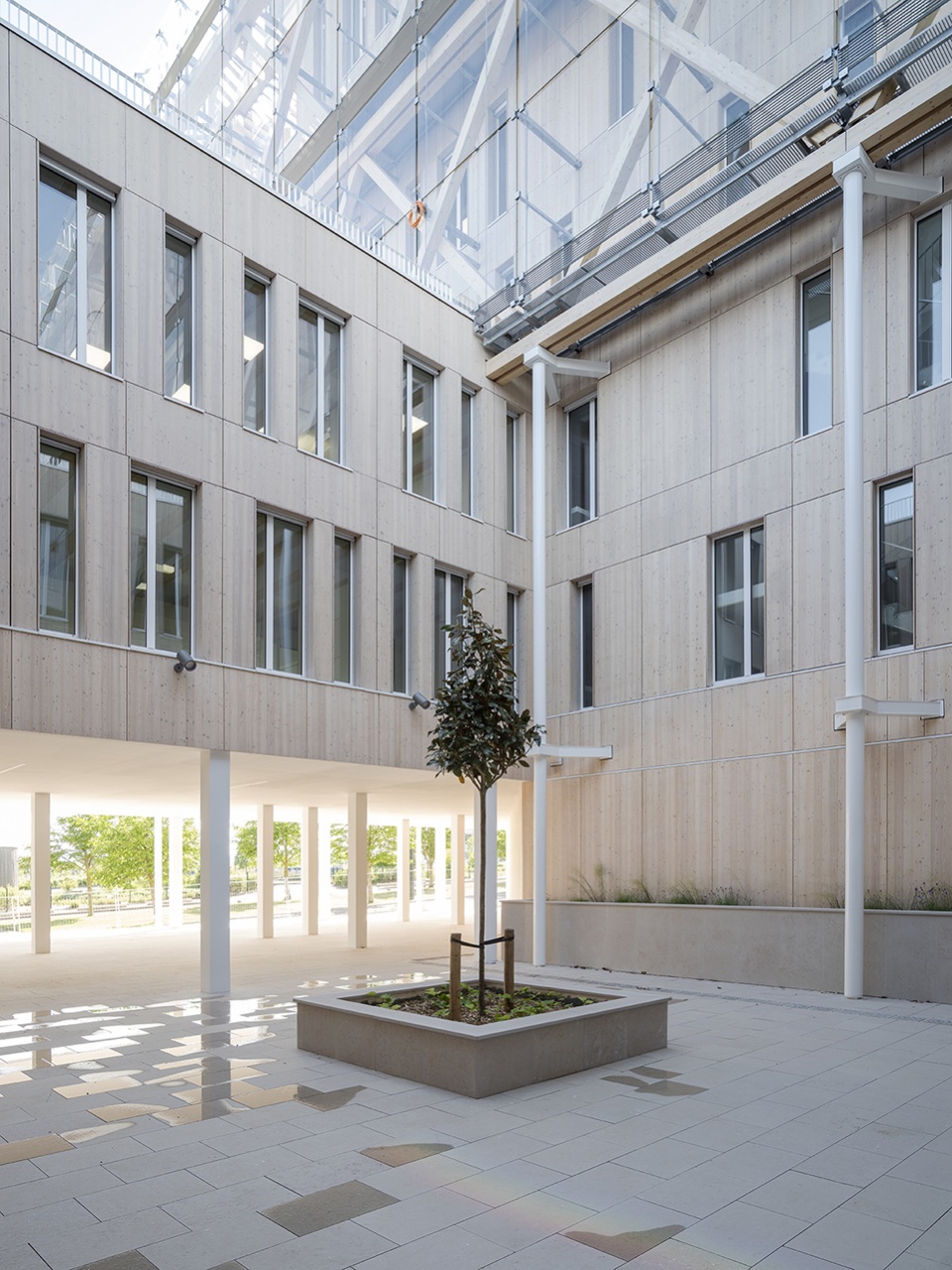 caisse depargnes head office by graam architecture