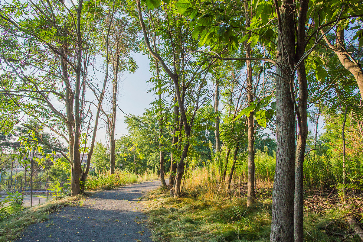 2021 asla general design award of honor ferrous foundry park stimson