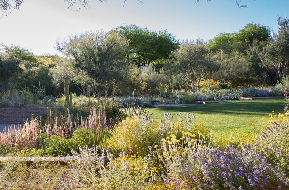 2021 asla residential design award of honor ghost wash colwell shelor landscape architecture