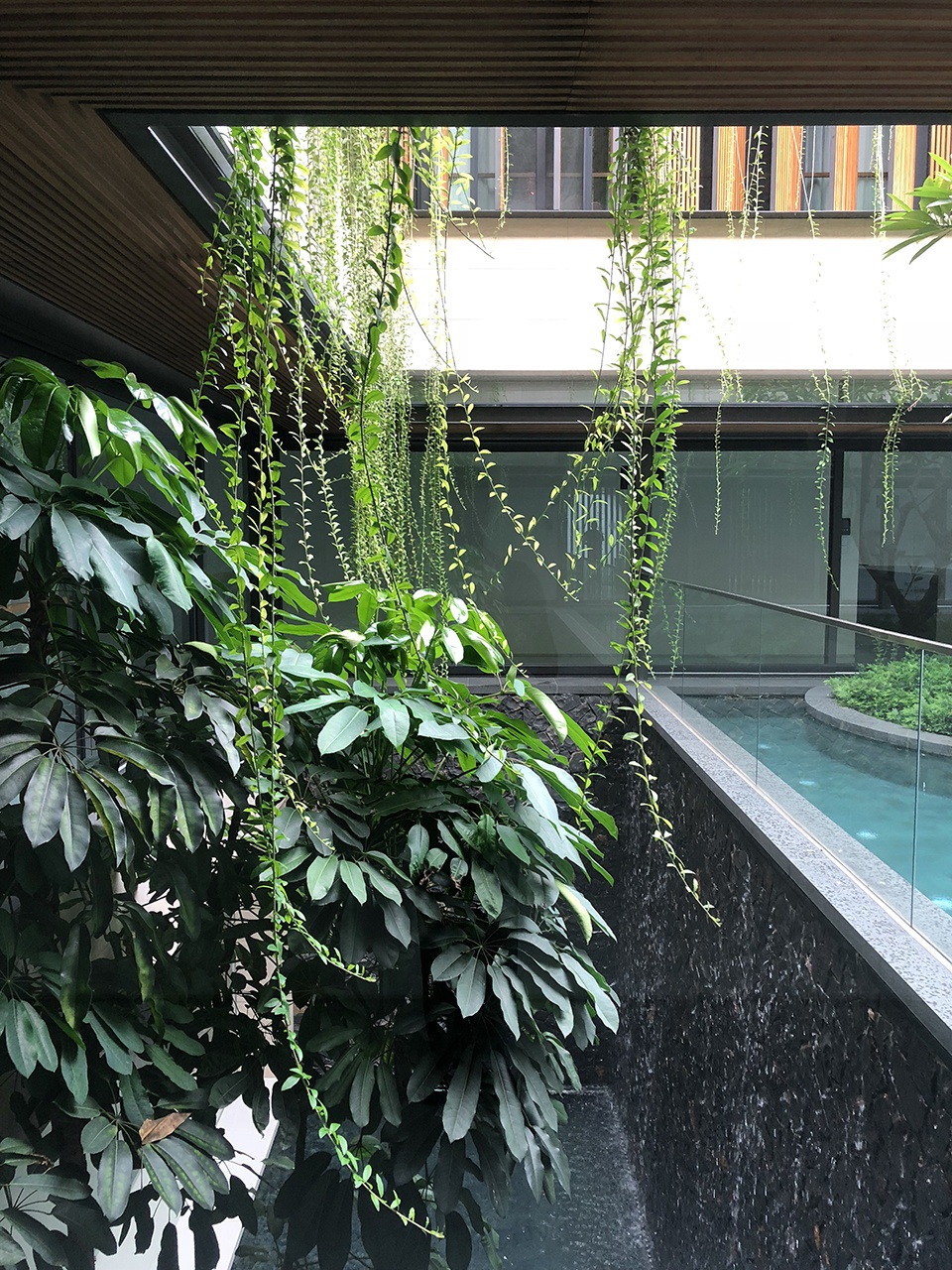 Water Garden House by Wallflower Architecture Design
