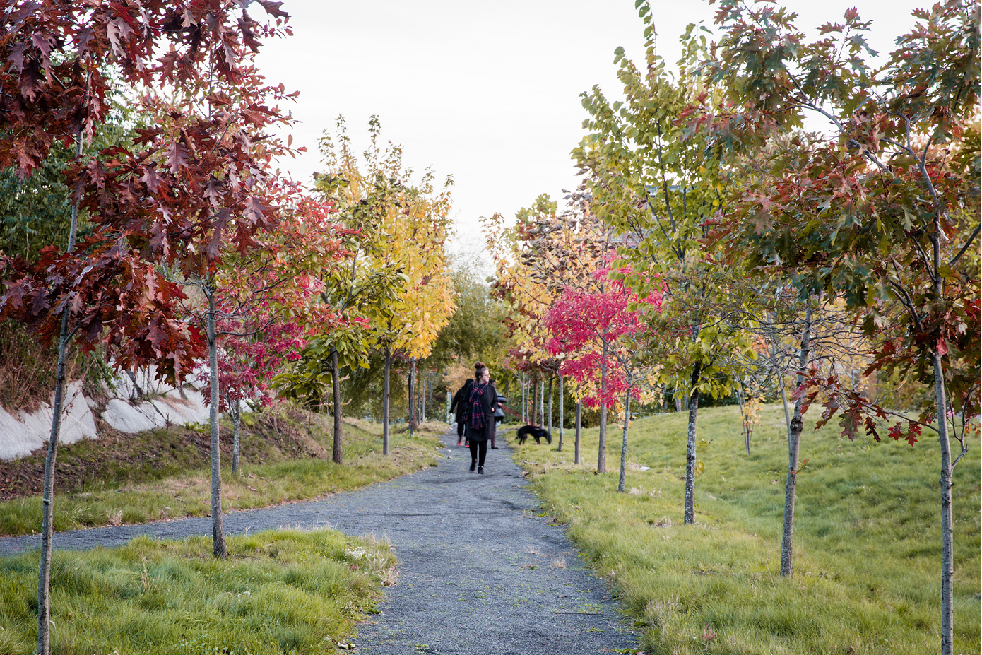 2021 asla general design award of honor ferrous foundry park stimson