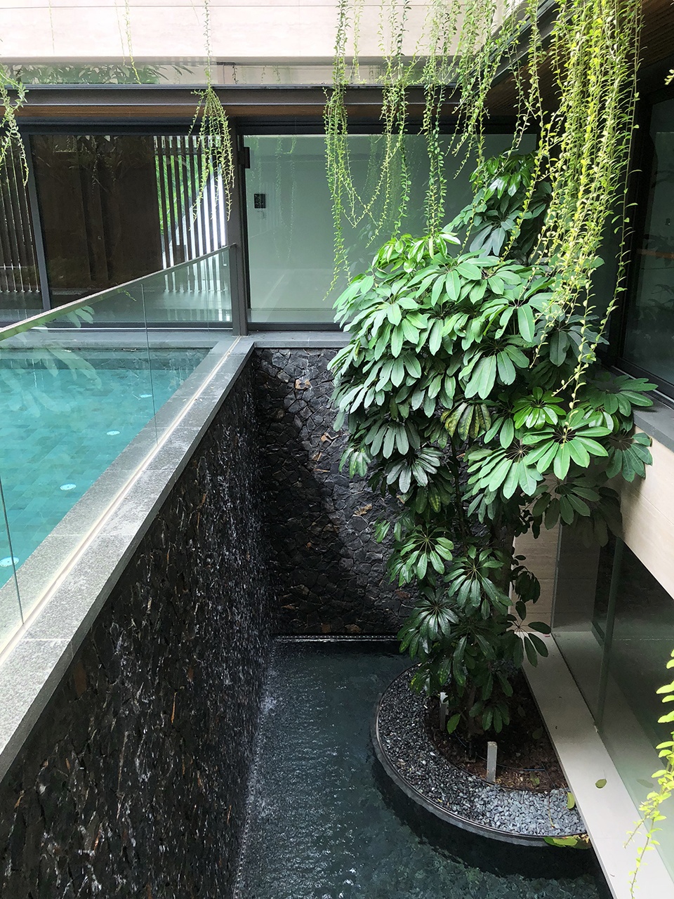 Water Garden House by Wallflower Architecture Design
