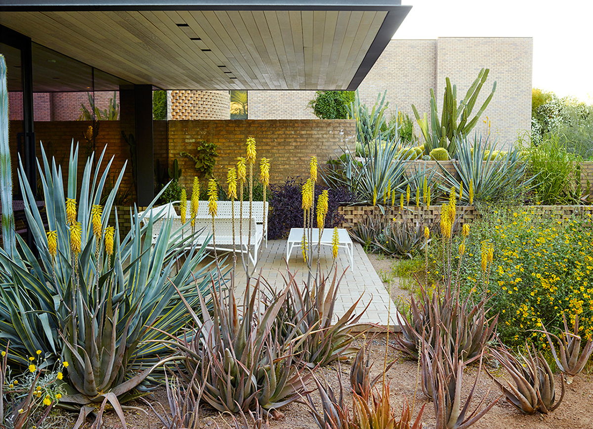 2021 asla residential design award of honor ghost wash colwell shelor landscape architecture