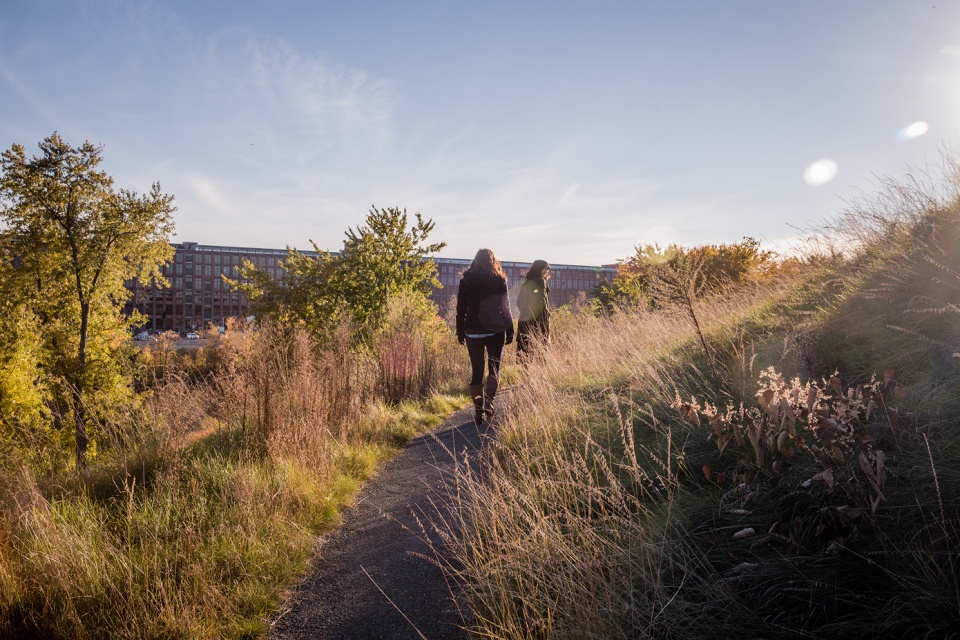 2021 asla general design award of honor ferrous foundry park stimson