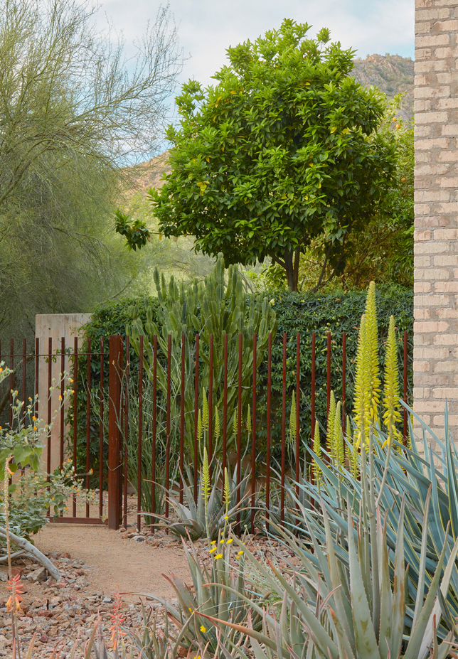 2021 asla residential design award of honor ghost wash colwell shelor landscape architecture