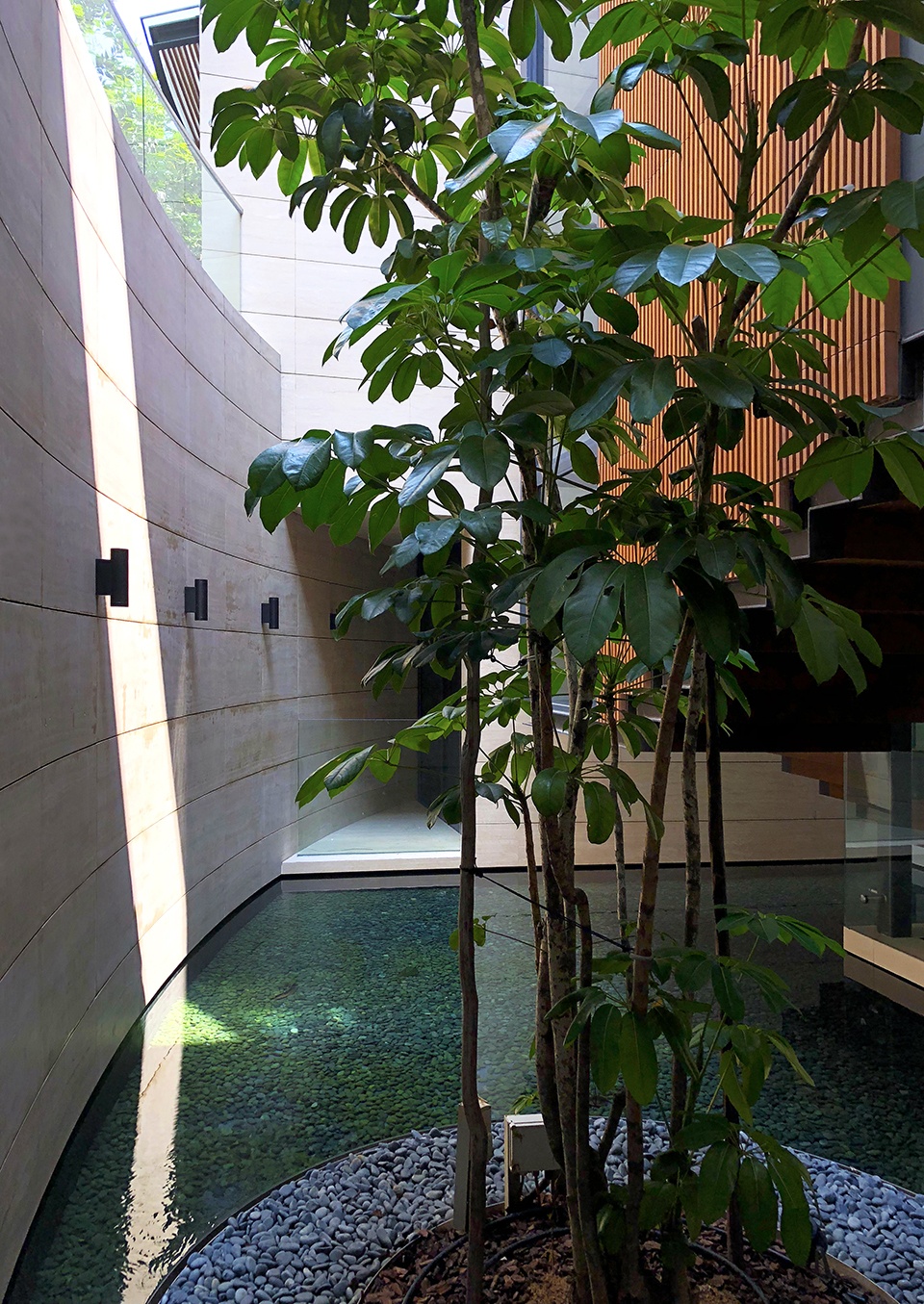 Water Garden House by Wallflower Architecture Design