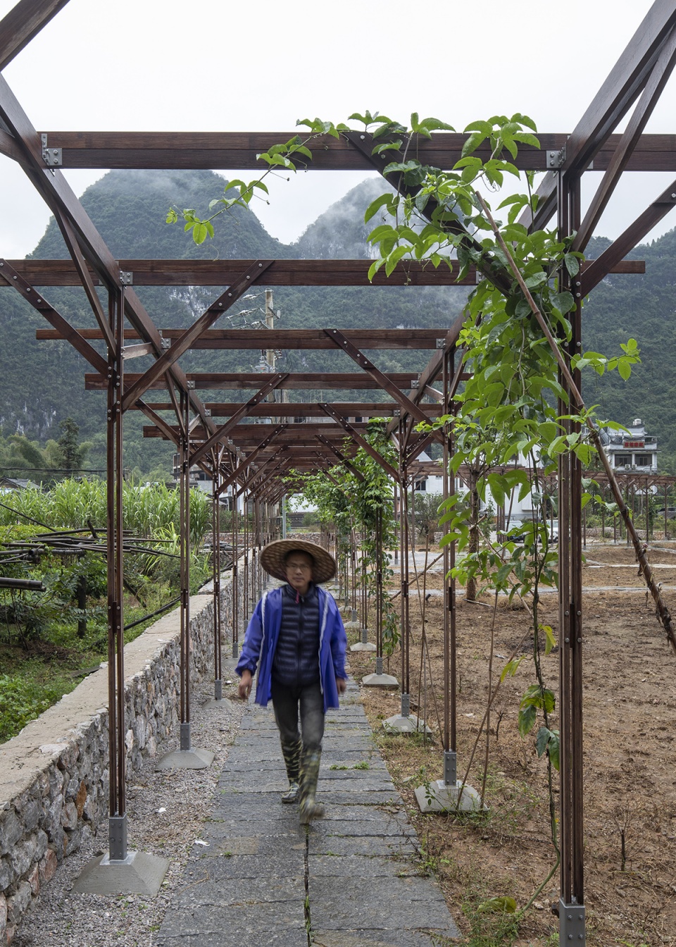 tsingpu yangshuo retreat front court landscape and stargazing pavilion by liu yuyang architects