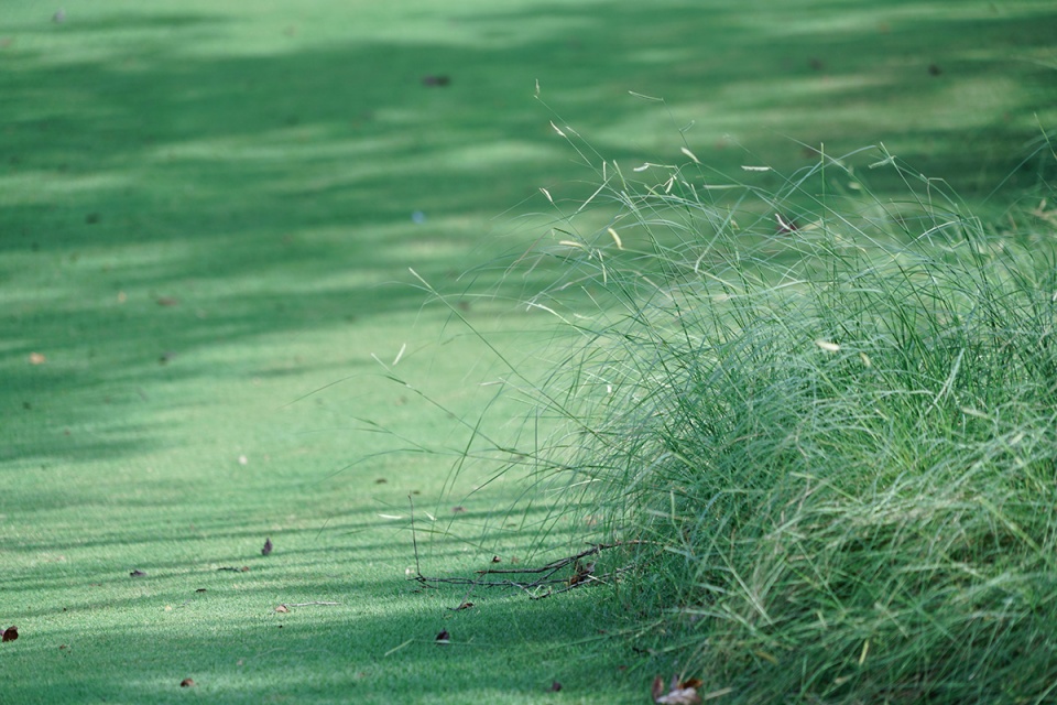 west lake golf landscape design by ncd studio