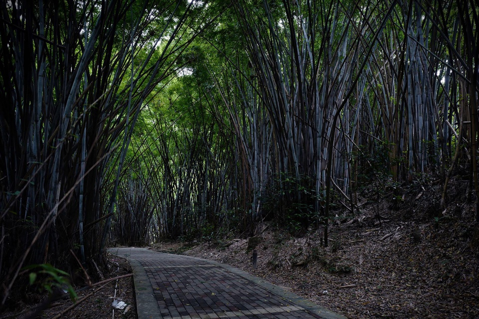 Houshan Contemporary Art Center VERGE Creative Design