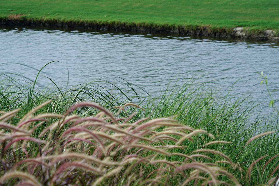 west lake golf landscape design by ncd studio