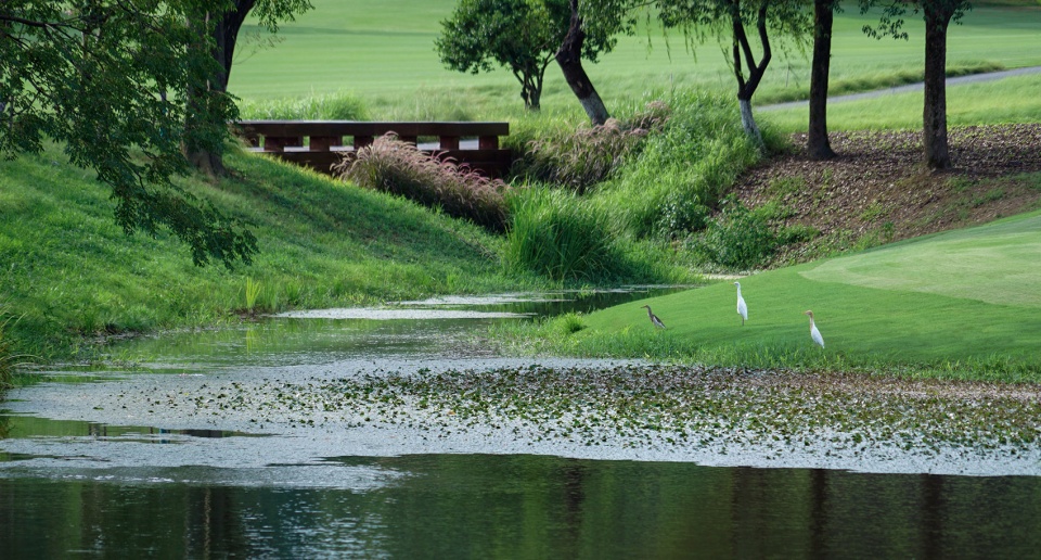 west lake golf landscape design by ncd studio