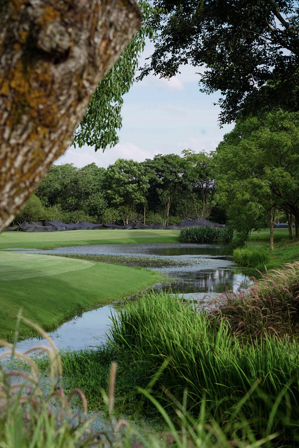 west lake golf landscape design by ncd studio