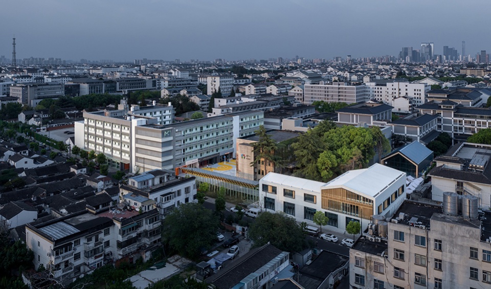 golden lion campus lane creative arts and culture park by omer studio