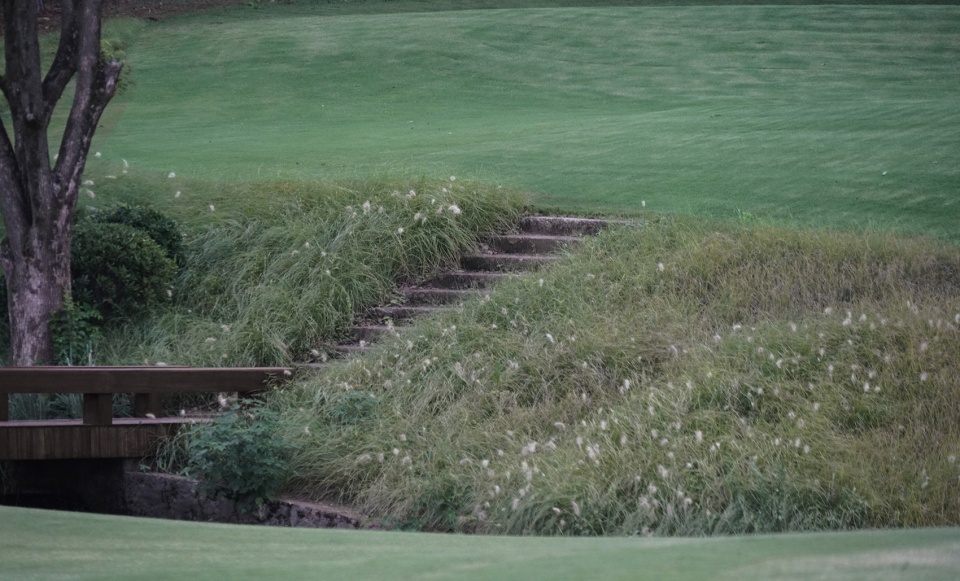 west lake golf landscape design by ncd studio
