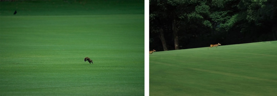 west lake golf landscape design by ncd studio