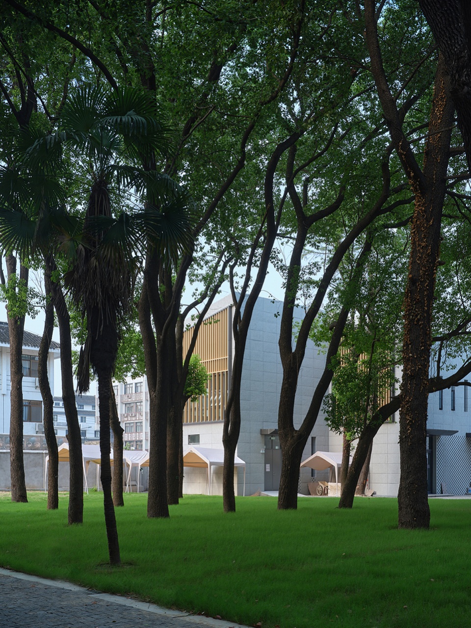golden lion campus lane creative arts and culture park by omer studio