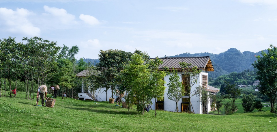Village Acadmy FMD