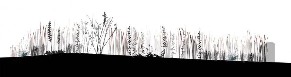 silhouette garden china by yiyu design