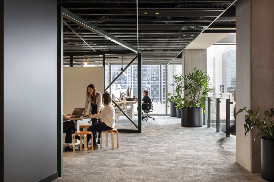 nab 3 parramatta square nab 2 carrington st by woods bagot