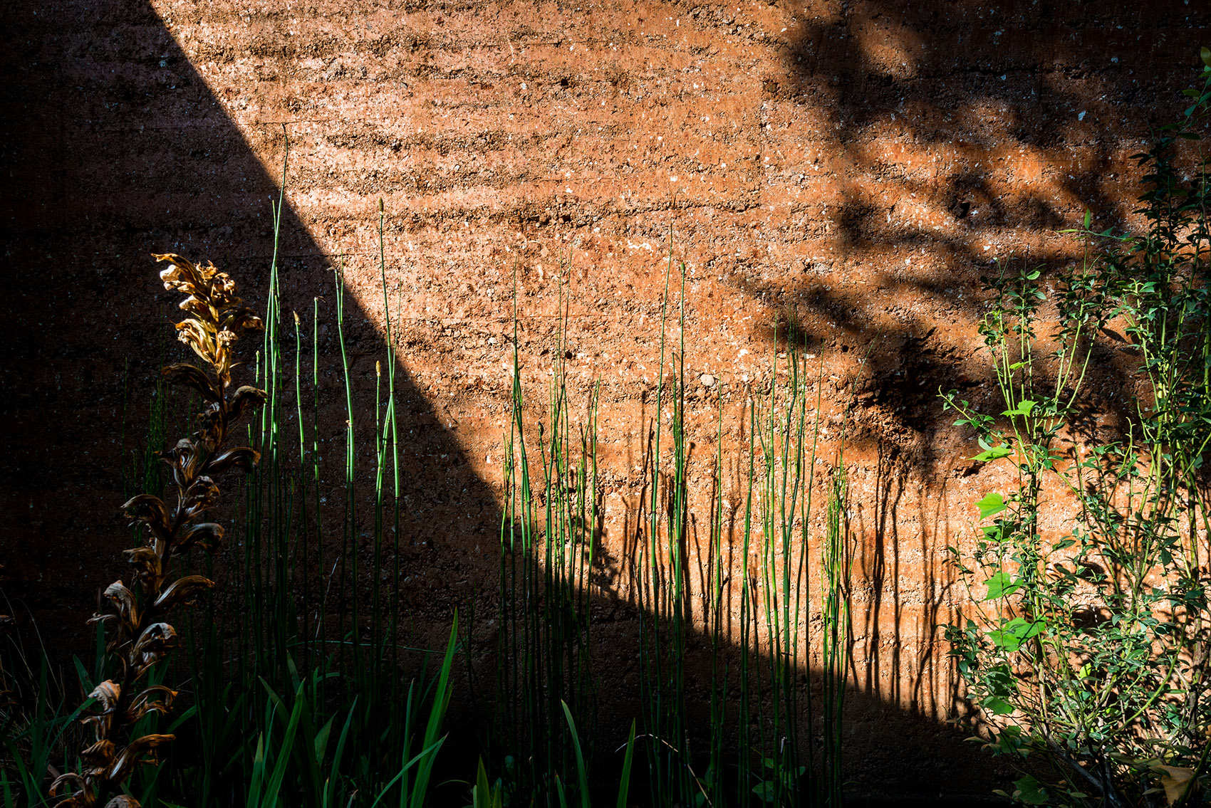 silhouette garden china by yiyu design
