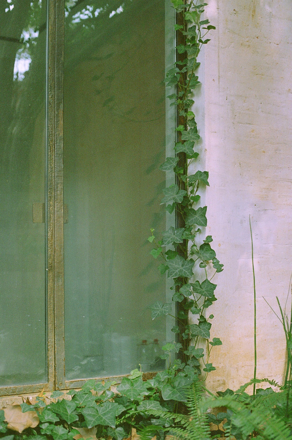 silhouette garden china by yiyu design