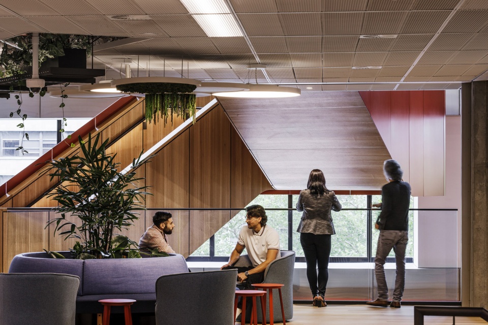 nab 3 parramatta square nab 2 carrington st by woods bagot
