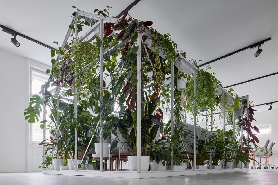 poetizer offices by tomas cisar johana sedlackova vamberska