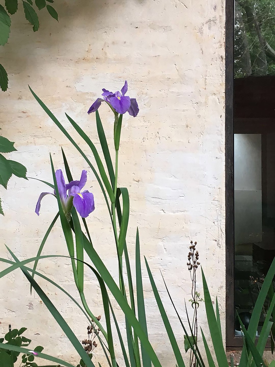 silhouette garden china by yiyu design