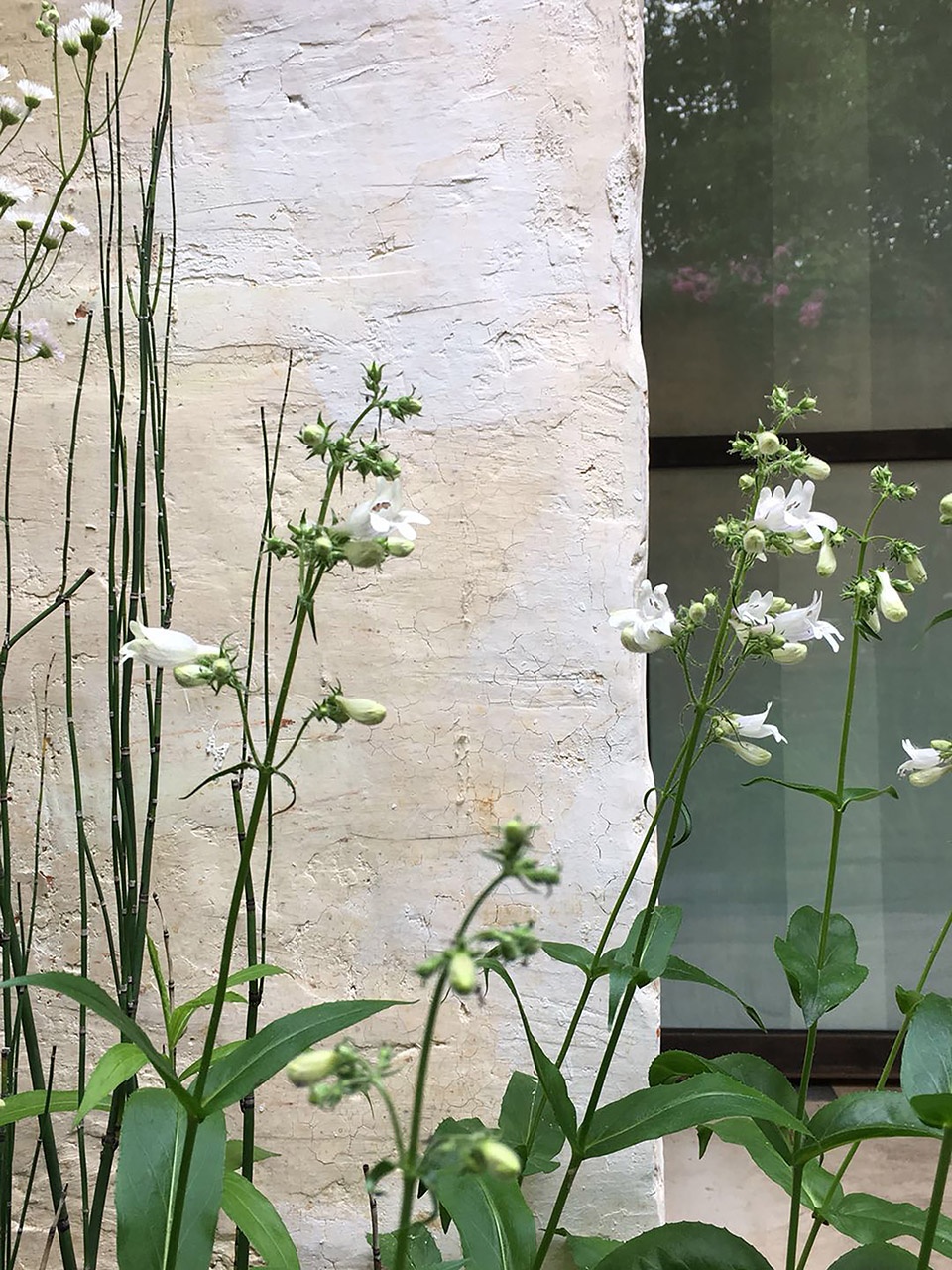 silhouette garden china by yiyu design