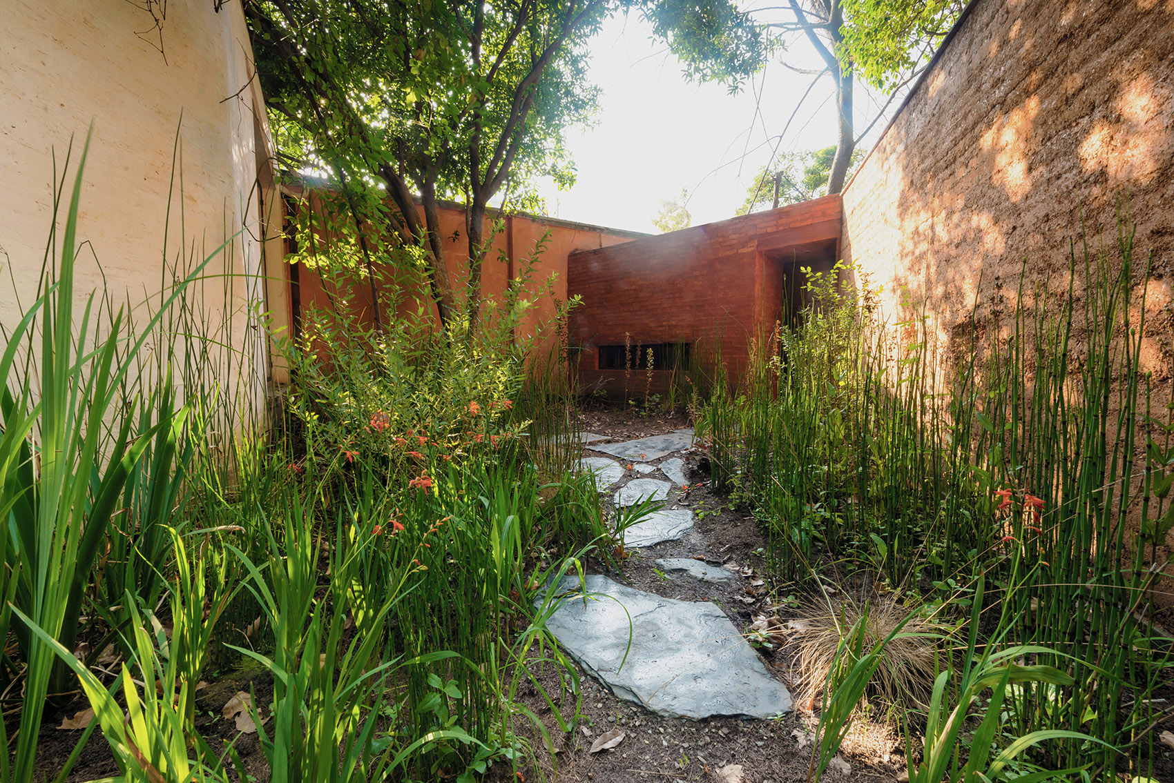 silhouette garden china by yiyu design