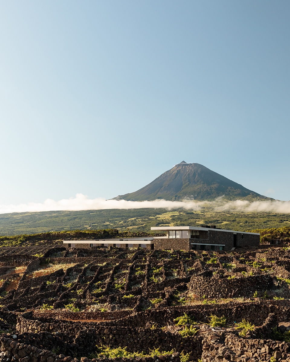 Adega Azores Wine Company by SAMI arquitectos