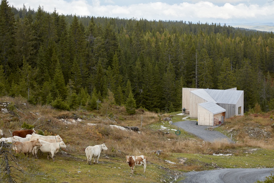 mylla cabin by mork ulnes architects
