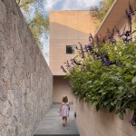 Moya住宅，墨西哥 / González Muchow Arquitectura
