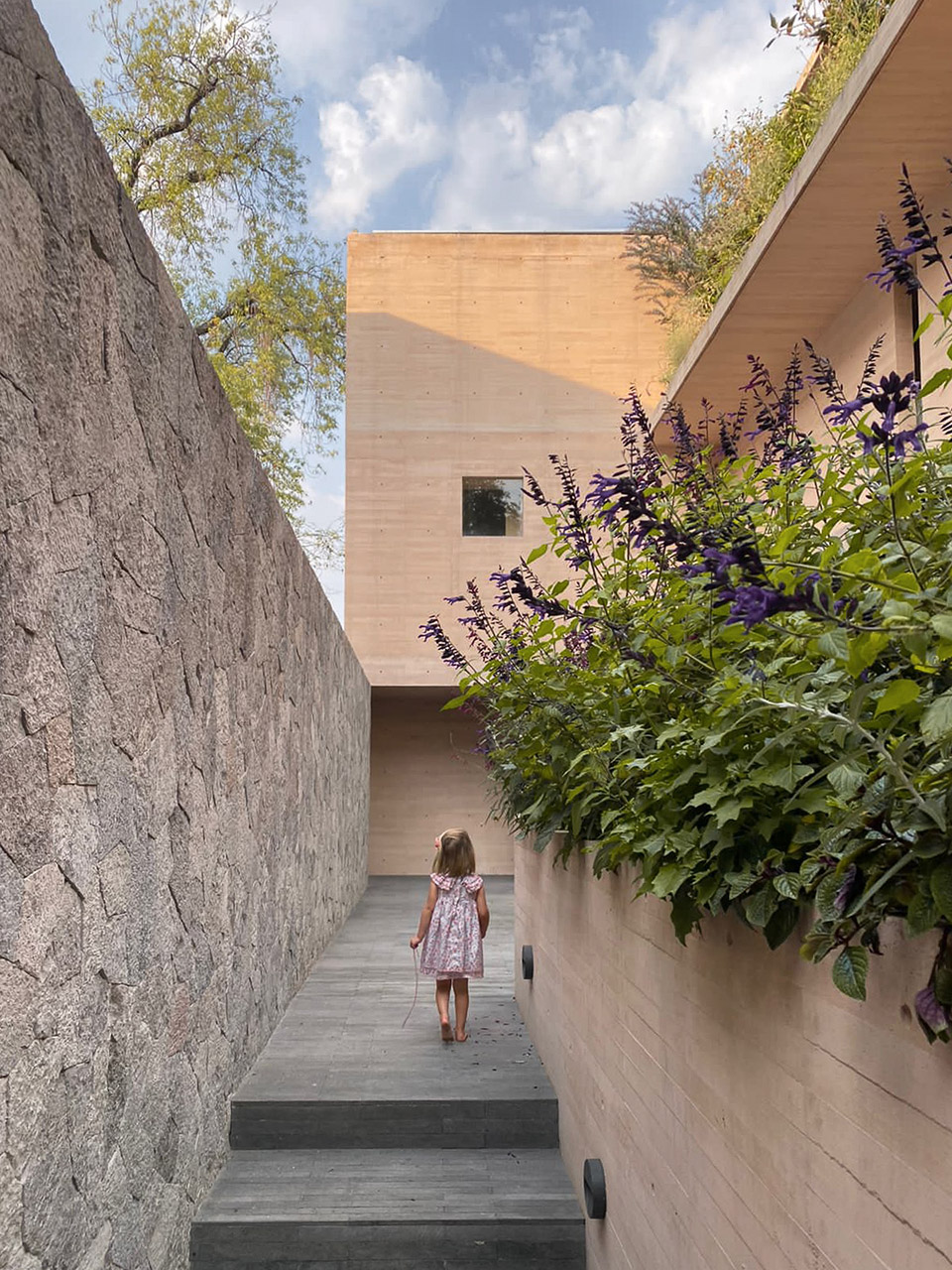 Casa Moya González Muchow Arquitectura