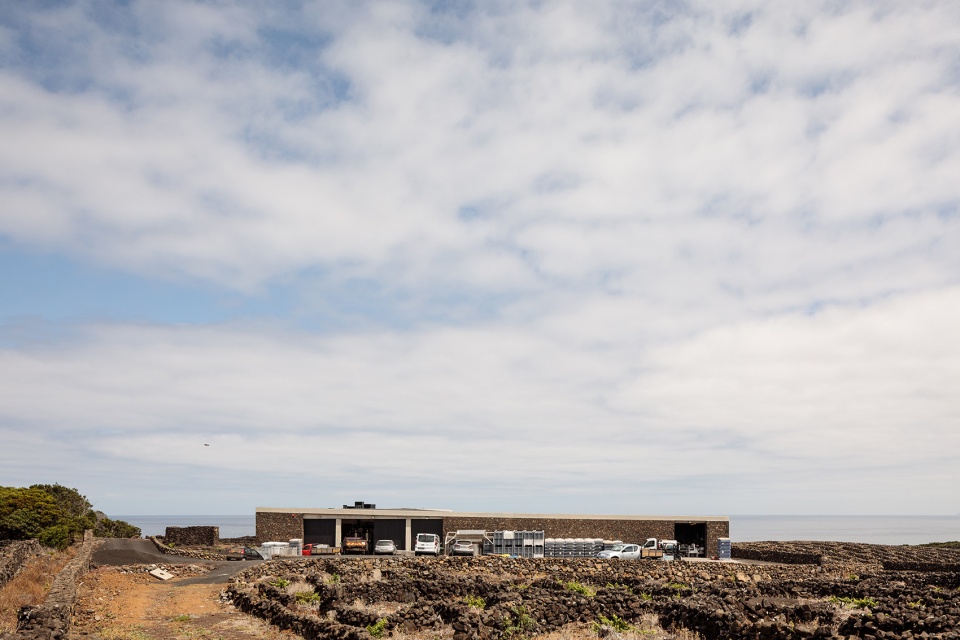 Adega Azores Wine Company by SAMI arquitectos