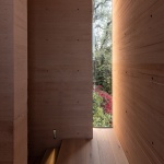 Moya住宅，墨西哥 / González Muchow Arquitectura