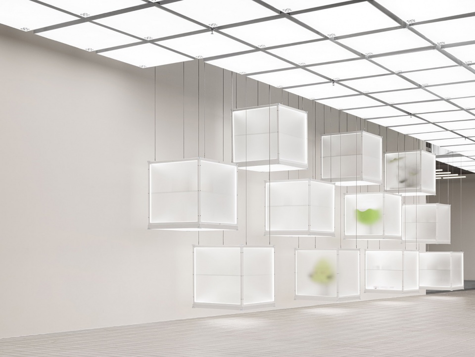 super seed concept store by fog architecture