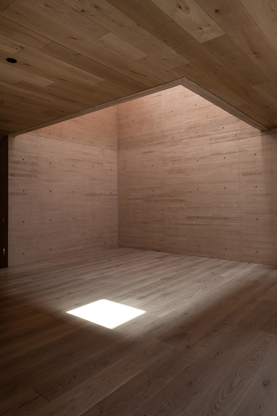 Casa Moya González Muchow Arquitectura