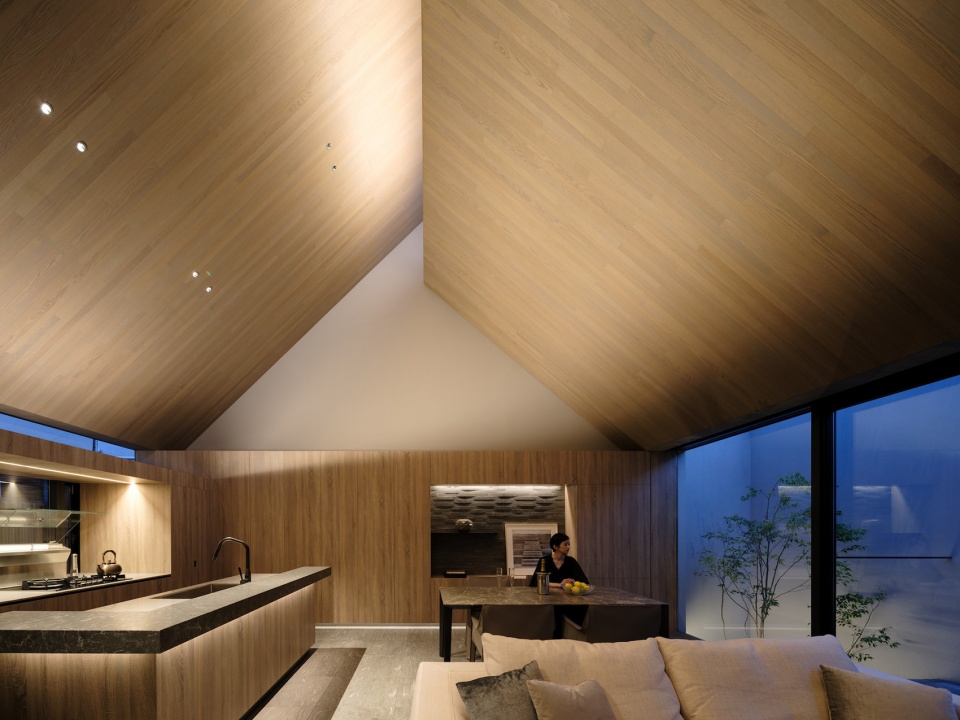 ESPACE by APOLLO Architects Associates