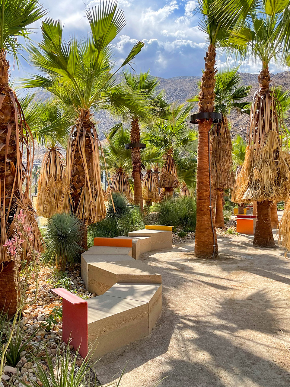 2022 Asla General Design Award Of Excellence Palm Springs Downtown Park Rios 谷德设计网