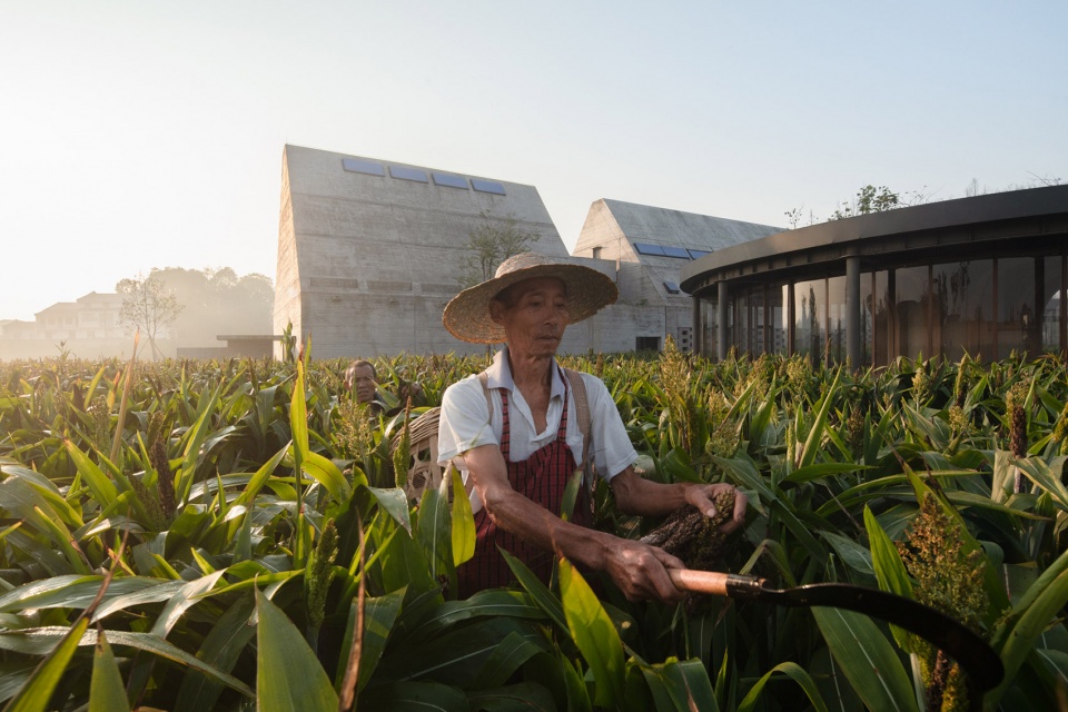 joybo farm by wt architects
