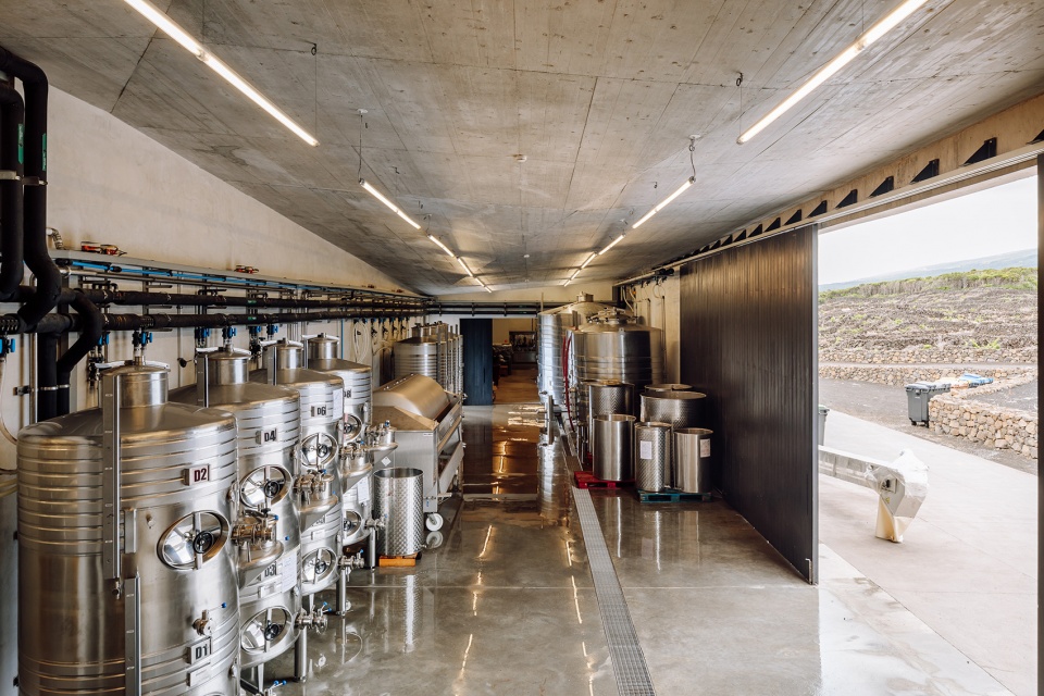 Adega Azores Wine Company by SAMI arquitectos