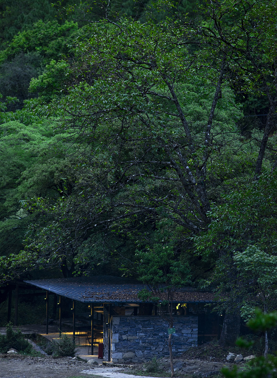 Revitalization of Shangri La’s Yunnan Snub nosed Monkey National Park Jinlei Architecture