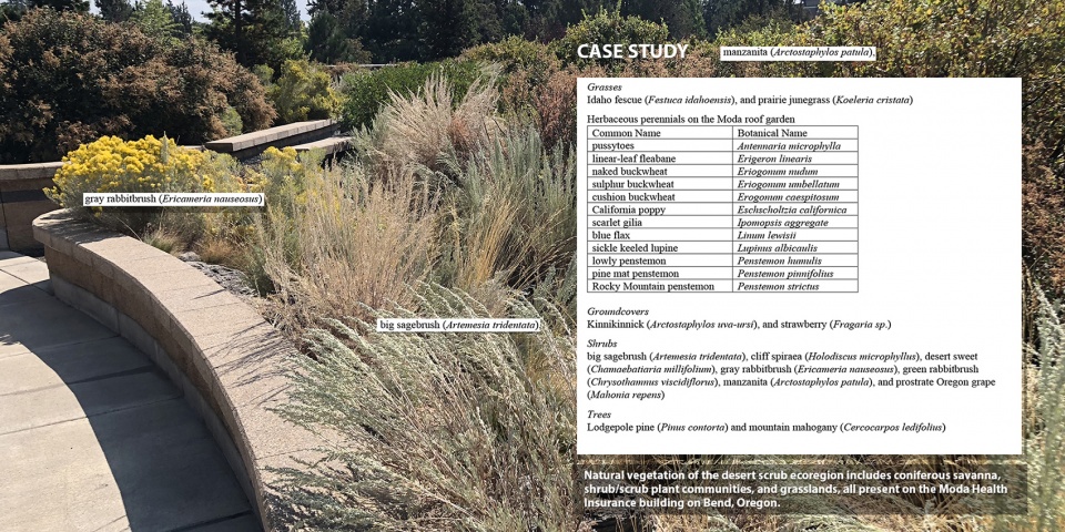 2021 asla research award of honor ecoregional green roofs theory and application in the western usa and canada