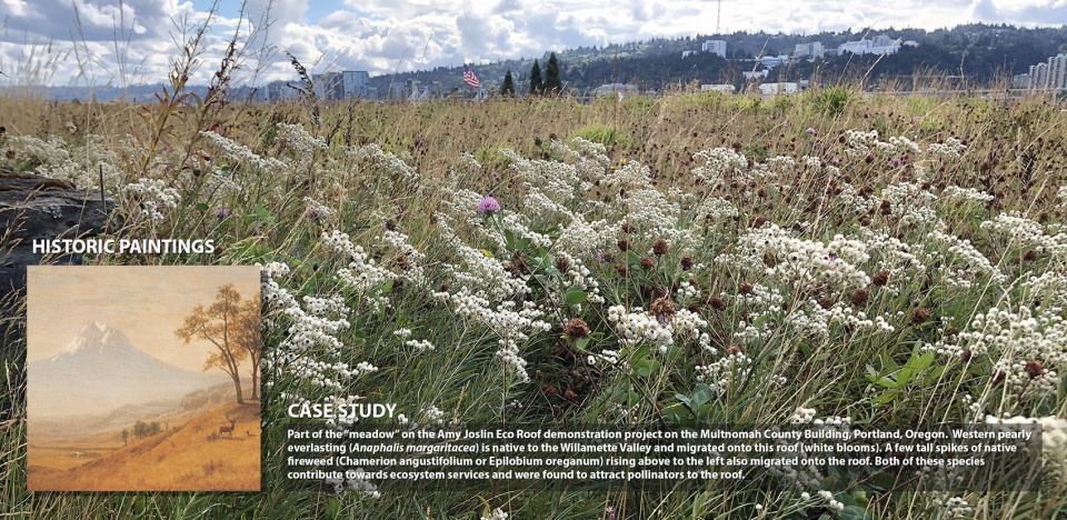 2021 asla research award of honor ecoregional green roofs theory and application in the western usa and canada