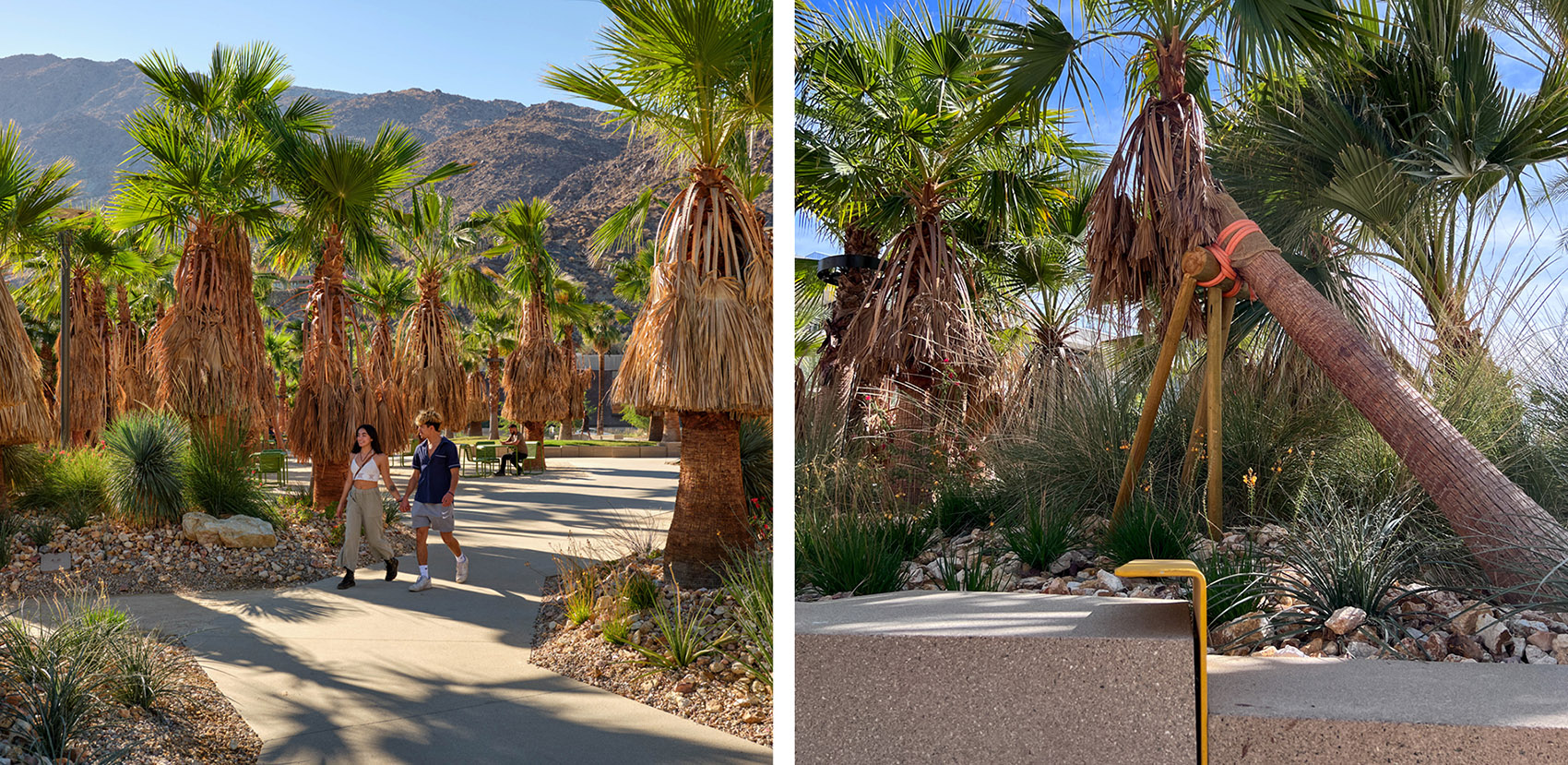 palm springs downtown park by rios