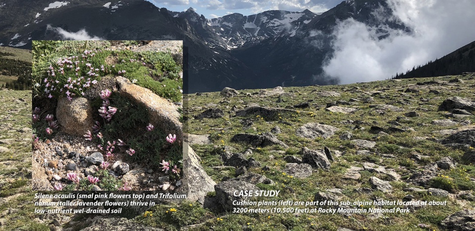 2021 asla research award of honor ecoregional green roofs theory and application in the western usa and canada