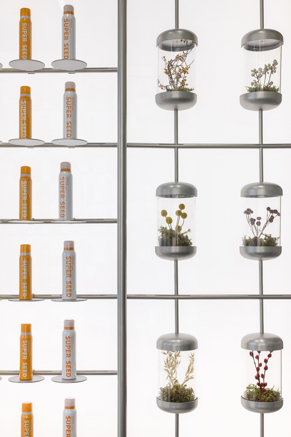super seed concept store by fog architecture