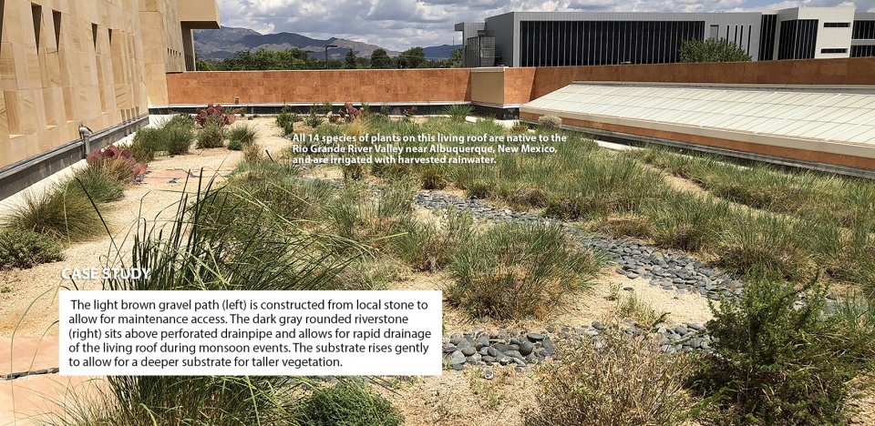 2021 asla research award of honor ecoregional green roofs theory and application in the western usa and canada