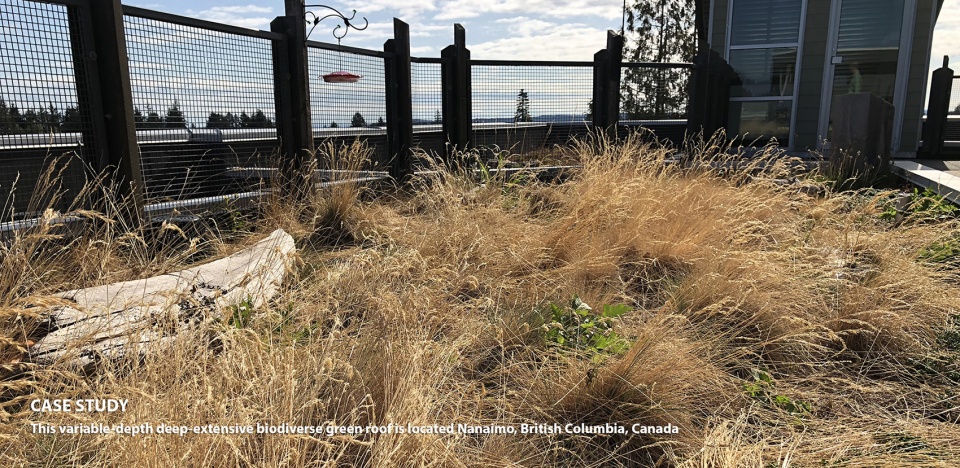 2021 asla research award of honor ecoregional green roofs theory and application in the western usa and canada